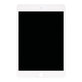 LCD Displej pro iPad Mini 5, White, Dotykové sklo bez rámu, Refurbished