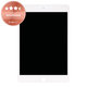 LCD Displej pro iPad Mini 5, White, Dotykové sklo bez rámu, Refurbished